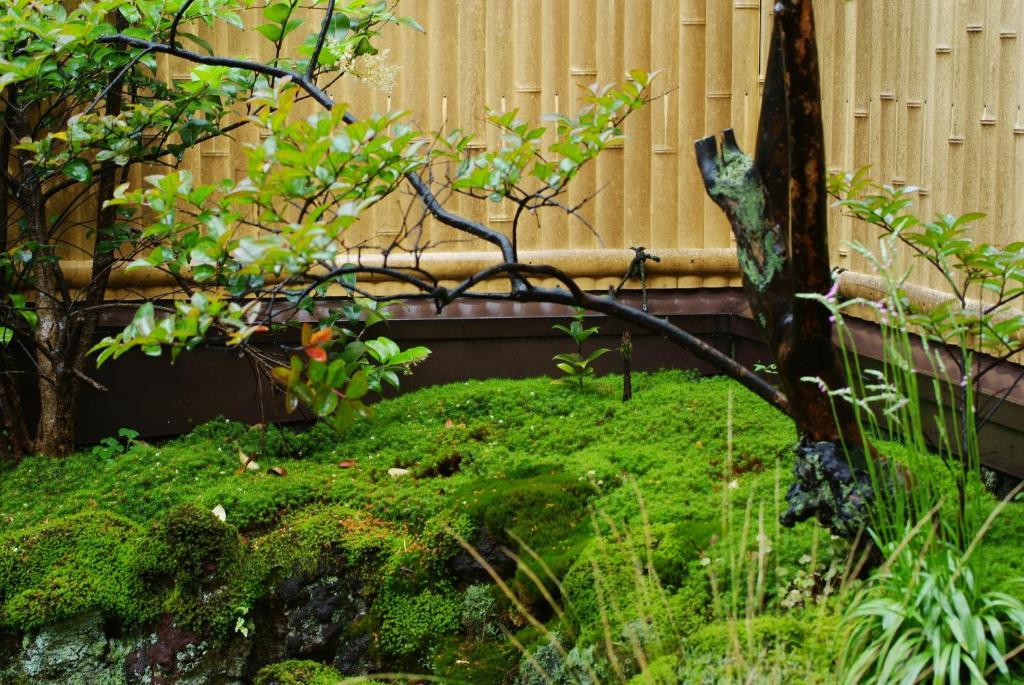 城崎温泉 但馬屋-Tajimaya- Toyooka  Buitenkant foto